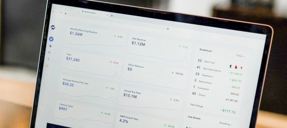 WordPress customization service