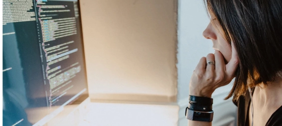 WordPress web development