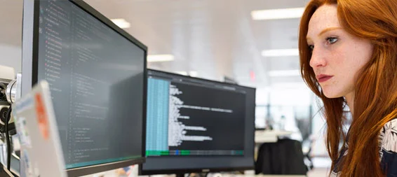 Ionic widget development