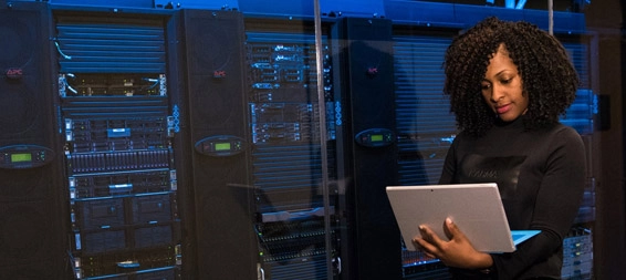 Web services and hosting