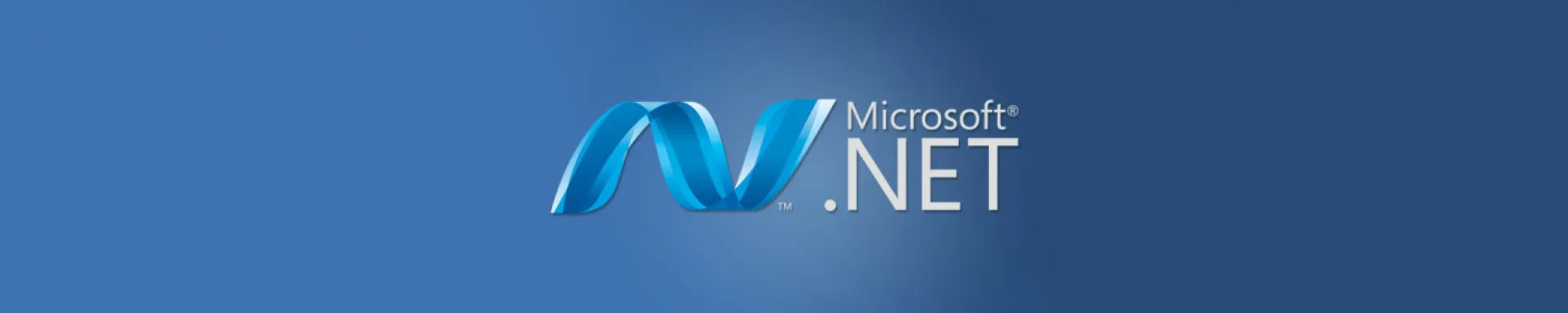 .NET Development Services